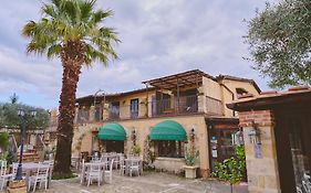 B&B Casale degli Ulivi